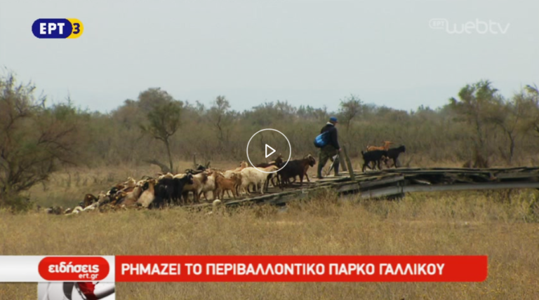 Ρημάζει το περιβαλλοντικό πάρκο Γαλλικού (video)