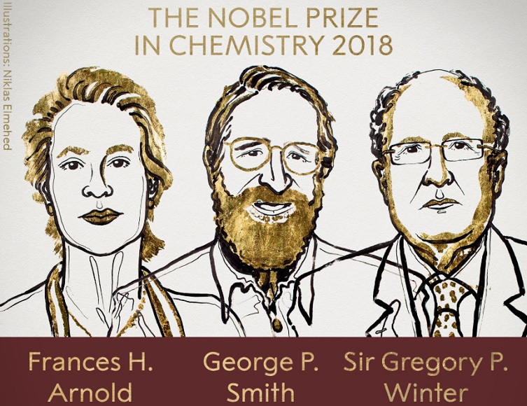 Σε Φράνσις Άρνολντ, Τζορτζ Σμιθ και Γκρέγκορι Ουίντερ το Νόμπελ Χημείας 2018