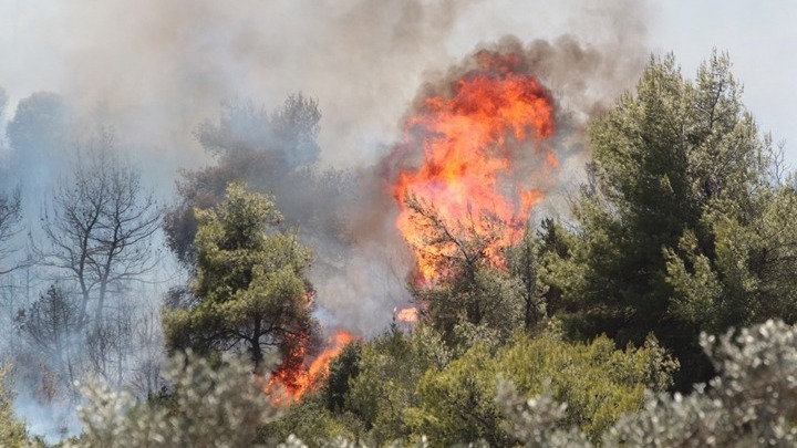 Πυρκαγιά ξέσπασε σε δύσβατη περιοχή του χωριού Σκρα Κιλκίς