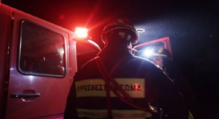 Πυρκαγιά σε δασική έκταση στην Εύβοια