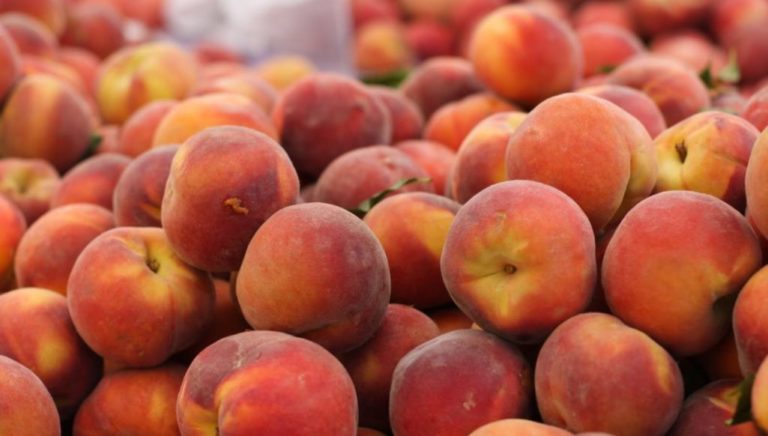 ΔΟΕ: Αντίδραση για την ένταξη των εκπαιδευτικών στο πρόγραμμα διανομής φρούτων