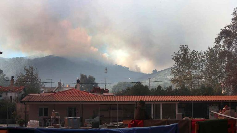 Μαίνεται η φωτιά στη Σιθωνία Χαλκιδικής-Δεν απειλούνται κατοικημένες περιοχές (video)