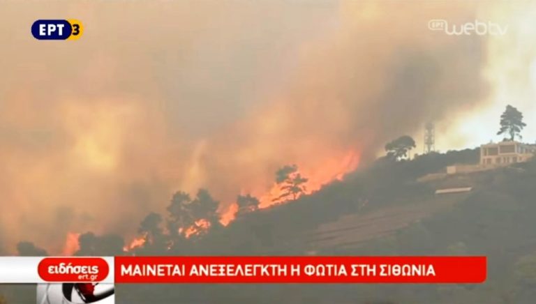 Προς πώληση είναι εδώ και μια δεκαετία η έκταση που κάηκε στη Σιθωνία