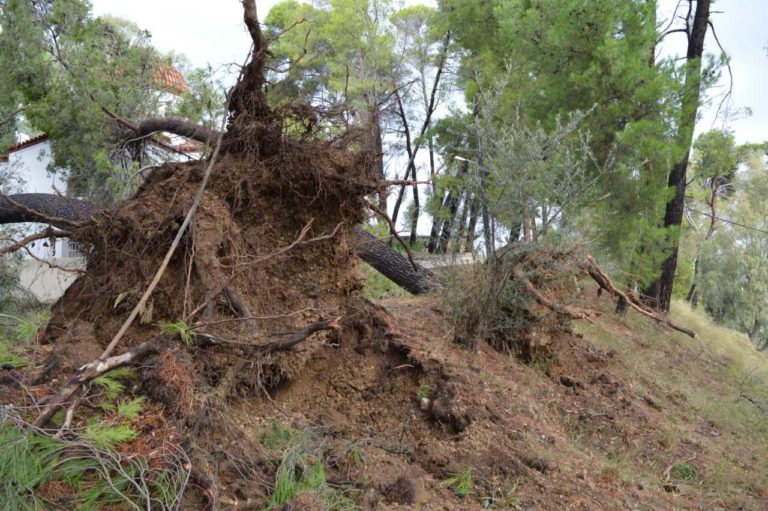 Καβάλα: Συνεχίζεται η αντιπλημμυρική θωράκιση της Περιφερειακής Ενότητας