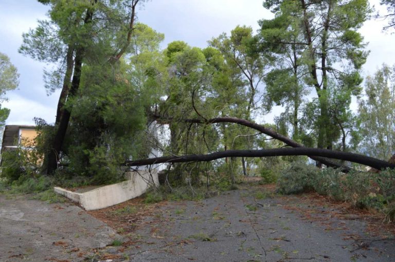 Ζημιές και στη Σπάρτη από την κακοκαιρία