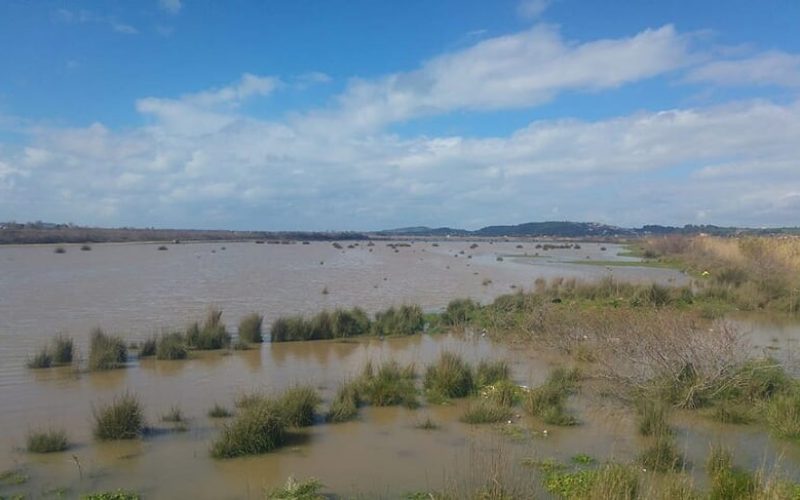 Πιέσεις Οικολόγων για επαναπλημμυρισμό της λίμνης Μουριάς