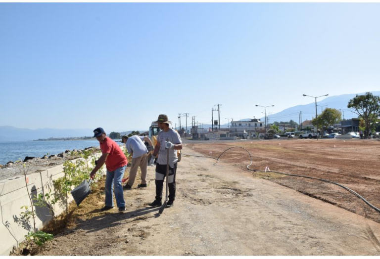 Πάτρα: Δυναμική κινητοποίηση ετοιμάζει ο δήμος στον Κόκκινο Μύλο