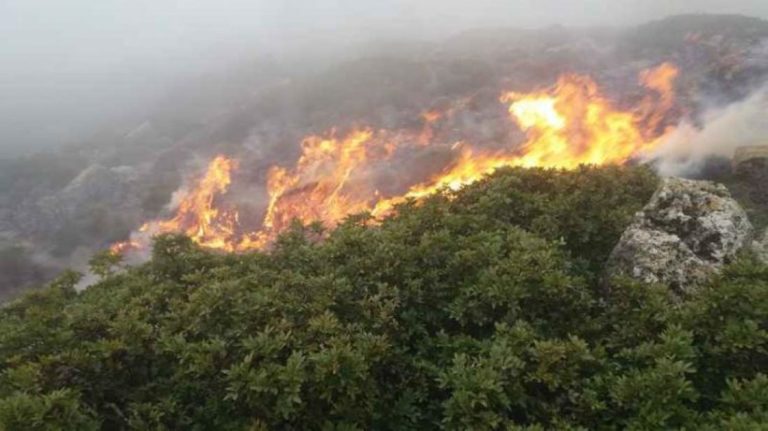 Ένας ύποπτος για τους εμπρησμούς στον Αποκόρωνα