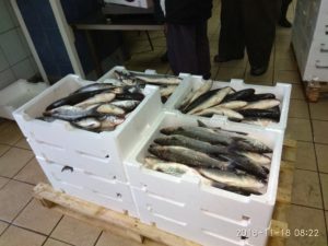 Κομοτηνή: Ικανοποίηση στον Αλιευτικό Συνεταιρισμό “Άγ. Νικόλαος”
