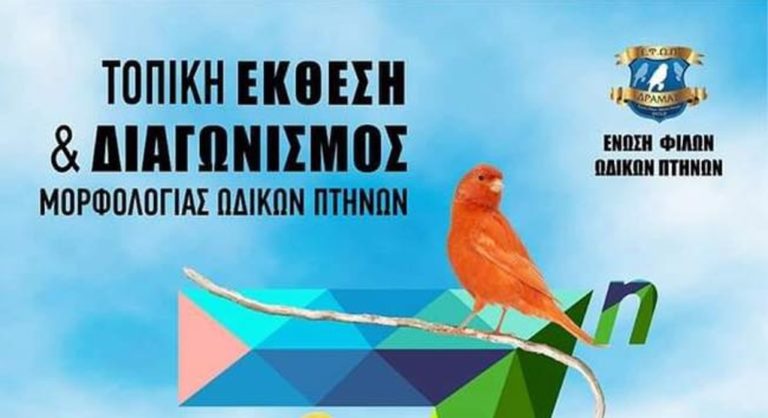 Δράμα: Έκθεση και διαγωνισμός ωδικών πτηνών