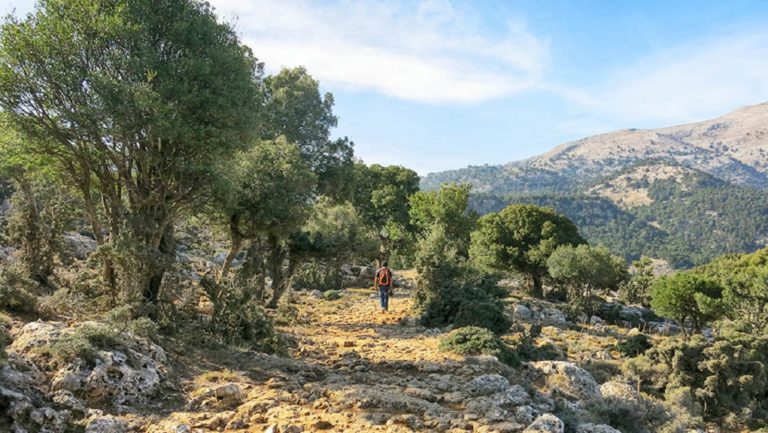 Συμπλοκή για τα βοσκοτόπια στο Οροπέδιο Καθαρού