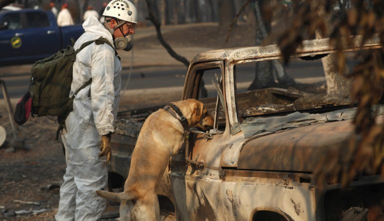 Στους 86 οι νεκροί από τις φονικές πυρκαγιές στην Καλιφόρνια