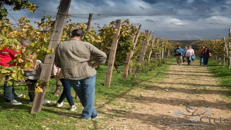 Ανοιχτά τα οινοποιεία της Κρήτης την Κυριακή