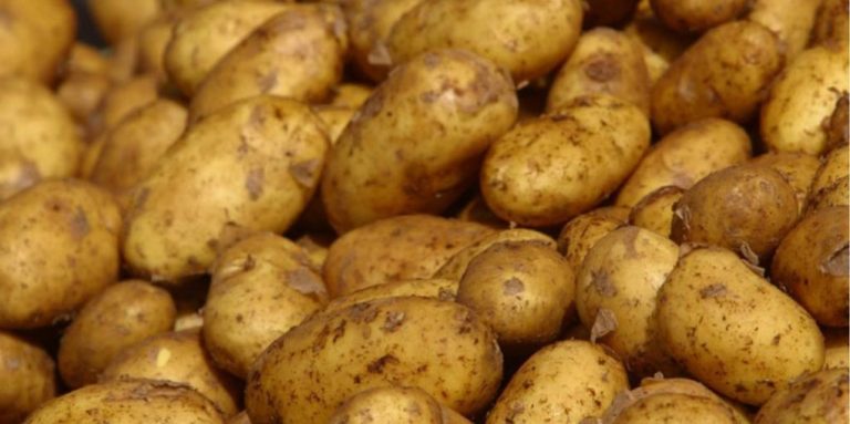 Επικίνδυνες πατάτες στην Πρέβεζα