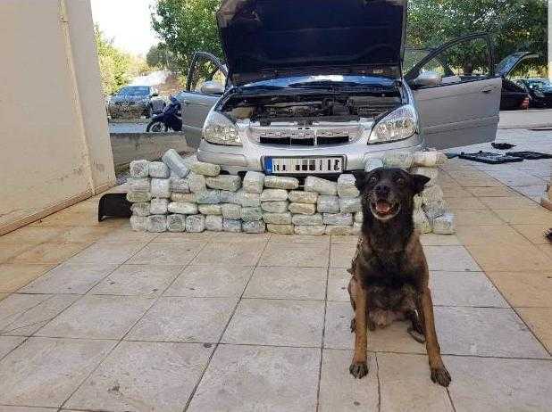 Αστυνομικος σκύλος βρήκε 32 κιλά κάνναβης στο τελωνείο Ευζώνων