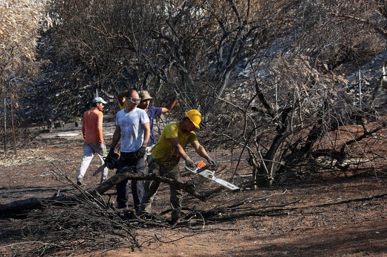 Συνεργασία Δημόσιου και Ιδιωτικού τομέα για την αποκατάσταση στο Μάτι