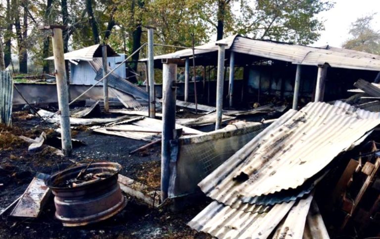 Τρίκαλα: Κάηκαν 60 ζώα και τροφές σε ποιμνιοστάσιο