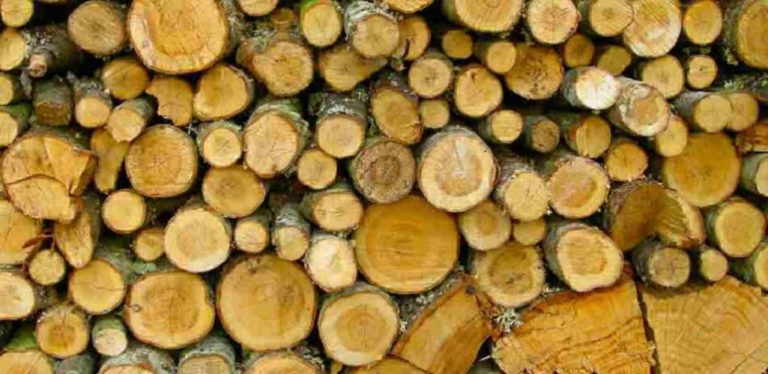 Γ.Αντωνιάδης: Υπό εξέταση η χορήγηση επιδόματος για ξύλα σε ορεινές ακριτικές περιοχές