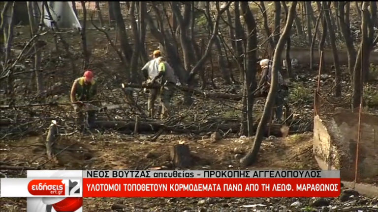 Άρχισαν τα αντιπλημμυρικά έργα στις πλαγιές του Νέου Βουτζά (video)