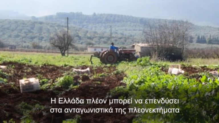 Τσίπρας: Ενισχύουμε τους αγρότες και την αγροτική ανάπτυξη (video)