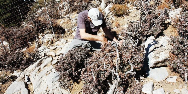 Σφακιά: H τοπική κοινωνία στη διατήρηση της βιοποικιλότητας