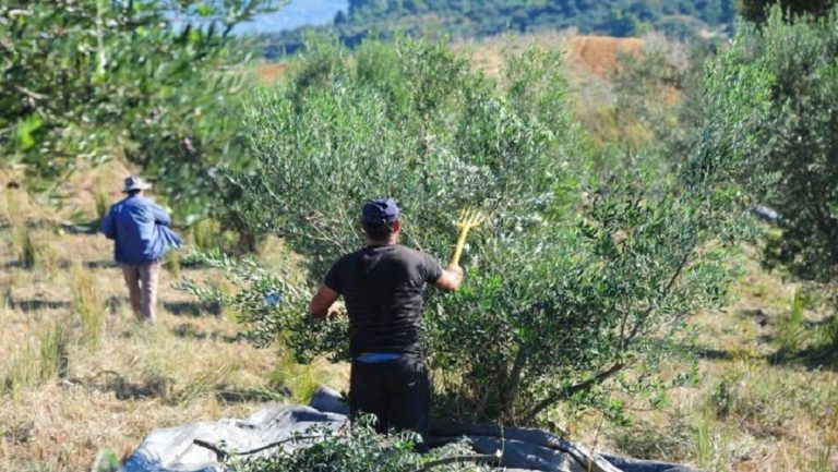 Παράνομη εργασία και δυο συλλήψεις για τροχαίο στους Αγίους Δέκα