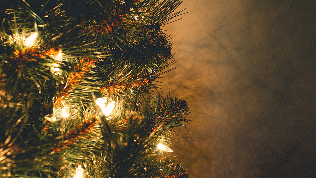 Αφή Χριστουγεννιάτικου δέντρου στην πλατεία Σαπφούς