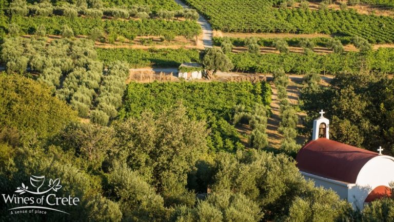 Νέα διοίκηση στο Δίκτυο Οινοποιών Ηρακλείου