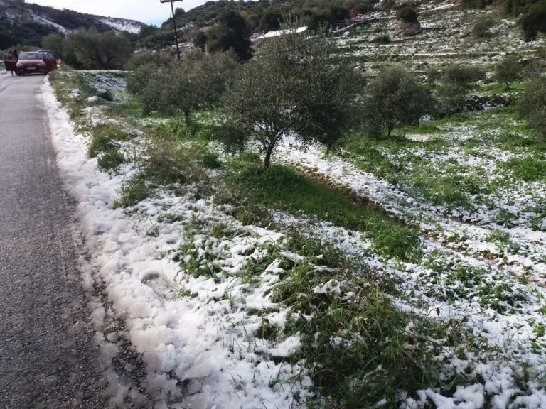 Ζάκυνθος: Οδηγίες προς πολίτες – Έκτακτες κυκλοφοριακές ρυθμίσεις