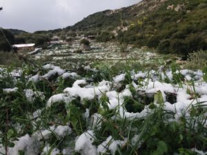 Ζάκυνθος: Έκτακτο δελτίο καιρού