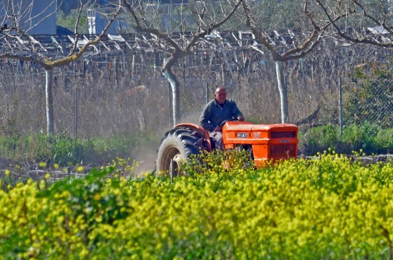 Υποπροϊόντα ελαιουργείων και κυκλική οικονομία 