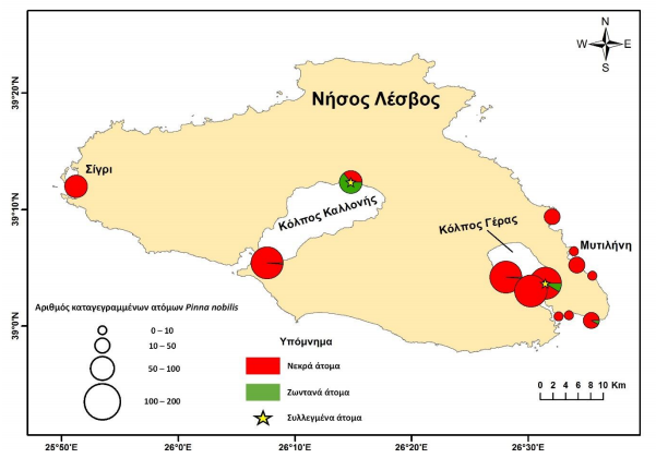 Μαζική θνησιμότητα της πίννας στις παράκτιες περιοχές της Λέσβου