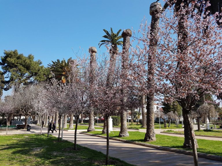 Εγκριση μελέτης για ανάπλαση δημοτικού κήπου Δήμου Χίου