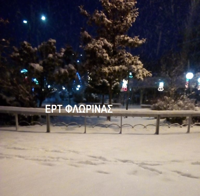 Φλώρινα: Πυκνή χιονόπτωση – Με αλυσίδες η κίνηση των οχημάτων