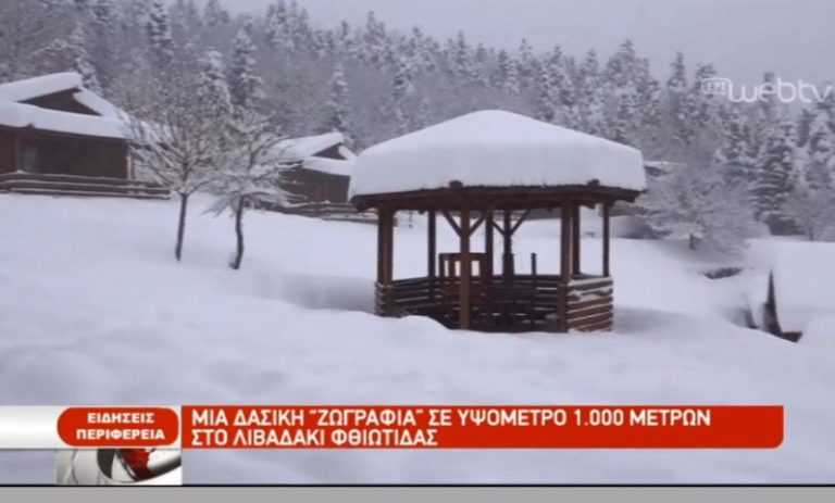 Το δασικό χωριό στο Λιβαδάκι Φθιώτιδας (video)