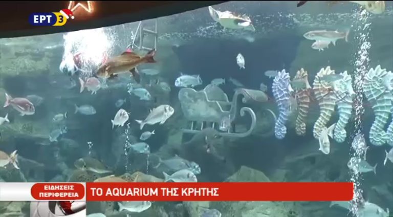 Τo Aquarium της Κρήτης- Ο Άγιος Βασίλης κολυμπά δίπλα στη γοργόνα Ευριάλη (video)