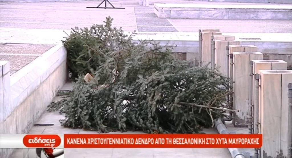 Κανένα χριστουγεννιάτικο δένδρο από τη Θεσσαλονίκη στο ΧΥΤΑ Μαυροράχης (video)