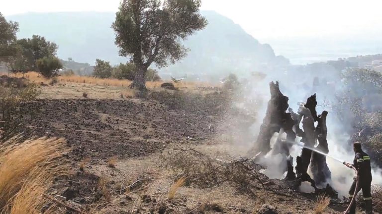 Συνάντηση για την αποκατάσταση των πυρόπληκτων περιοχών στον Αγ. Βασίλειο