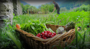 Χ. Μέτιος: Να αυξήσει τις πιστώσεις για τη βιολογική καλλιέργεια στην Ανατολική Μακεδονία και τη Θράκη ο Υπουργός Αγροτικής Ανάπτυξης