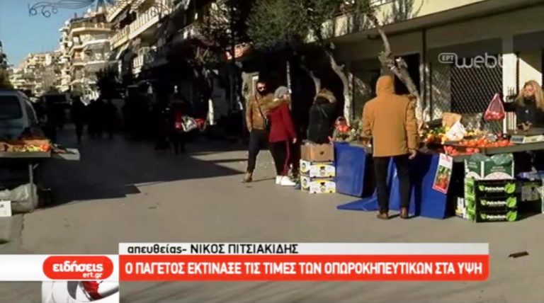 Στα ύψη οι τιμές των οπωροκηπευτικών λόγω παγετού (video)