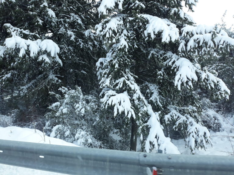 Κλειστά σχολεία λόγω χιονιού στο Δήμο Σφακίων