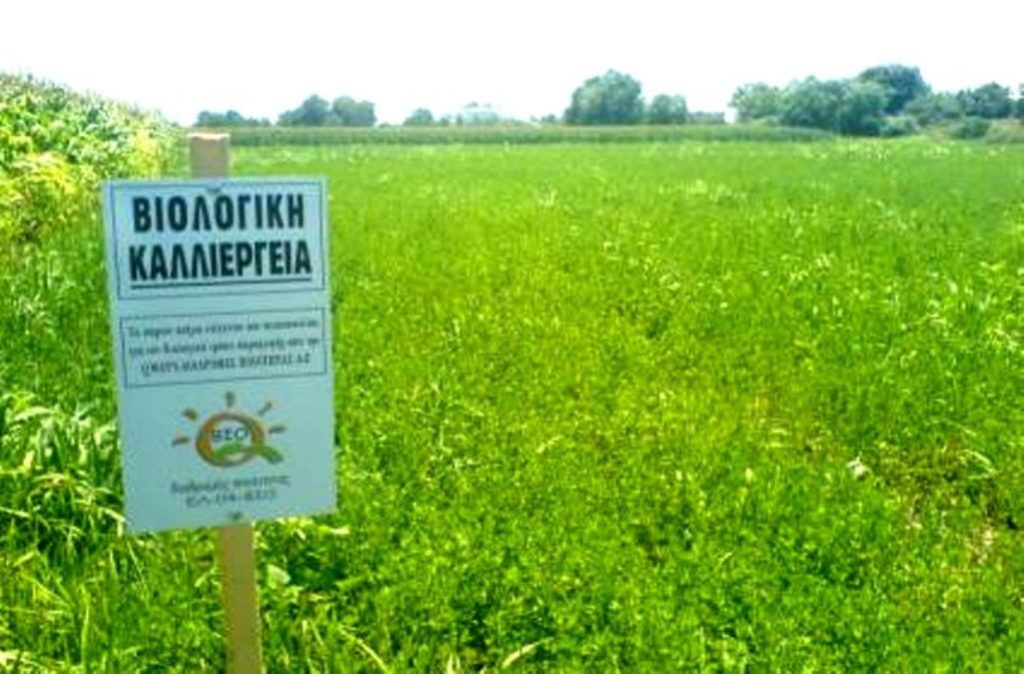 Δ. Μακεδονία: Ξεκίνησαν οι τροποποιήσεις στις βιολογικές καλλιέργειες
