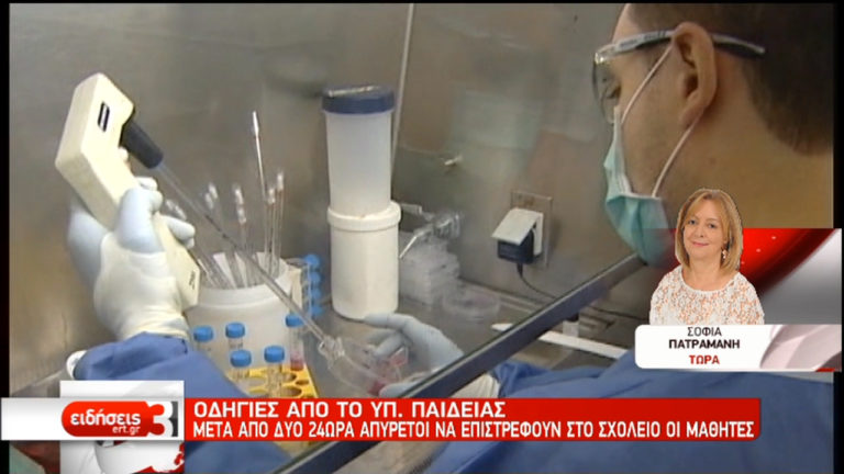 Εκατοντάδες ασθενείς στα επείγοντα με συμπτώματα γρίπης-Οδηγίες από το Υπ. Παιδείας (video)