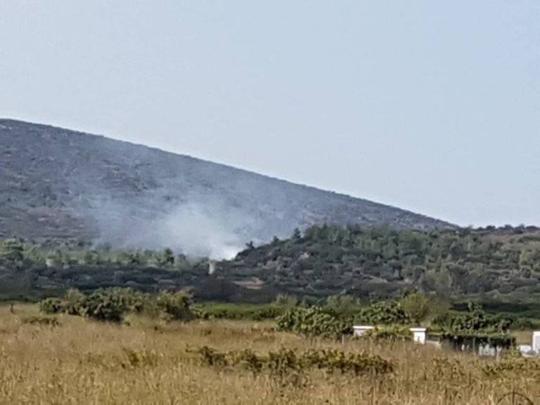 Αποζημιώσεις στους πυρόπληκτους μαστιχοπαραγωγούς του 2016