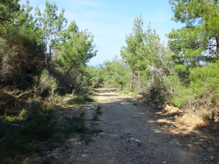 Επεκτείνεται το πρόγραμμα κοινωφελούς εργασίας για την αντιπυρική προστασία
