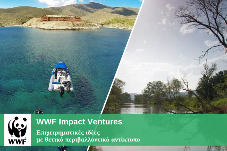 Σουφλί: Ενδιαφέρον για το πρόγραμμα WWF ImpactVentures