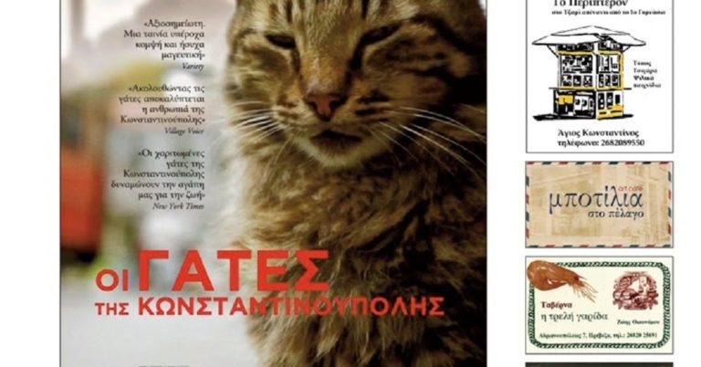 «Οι γάτες της Κωνσταντινούπολης» από Κινηματογραφική Λέσχη Πρέβεζας