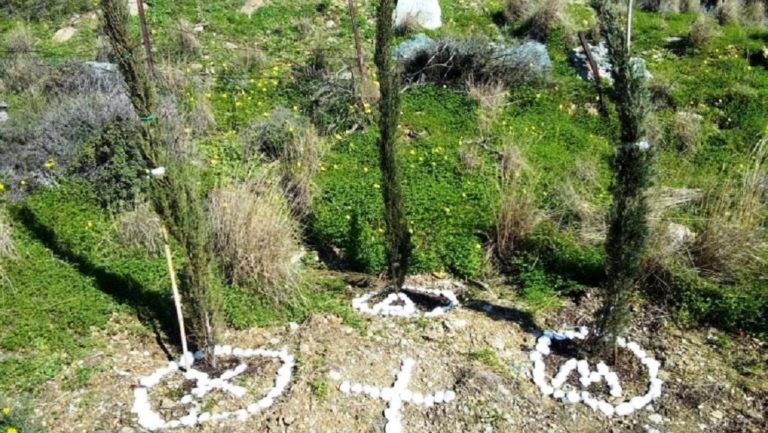 Τρία κυπαρίσσια στη μνήμη τους