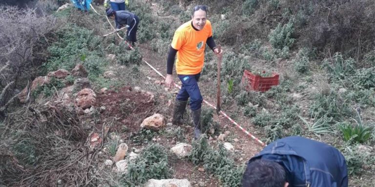 Δήμος Κισσάμου: Δεντροφύτευση με τους εθελοντές του Μαραθωνίου Κρήτης