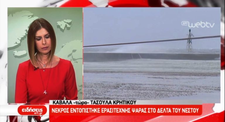 Νεκρός ψαράς στο Δέλτα του Νέστου (video)